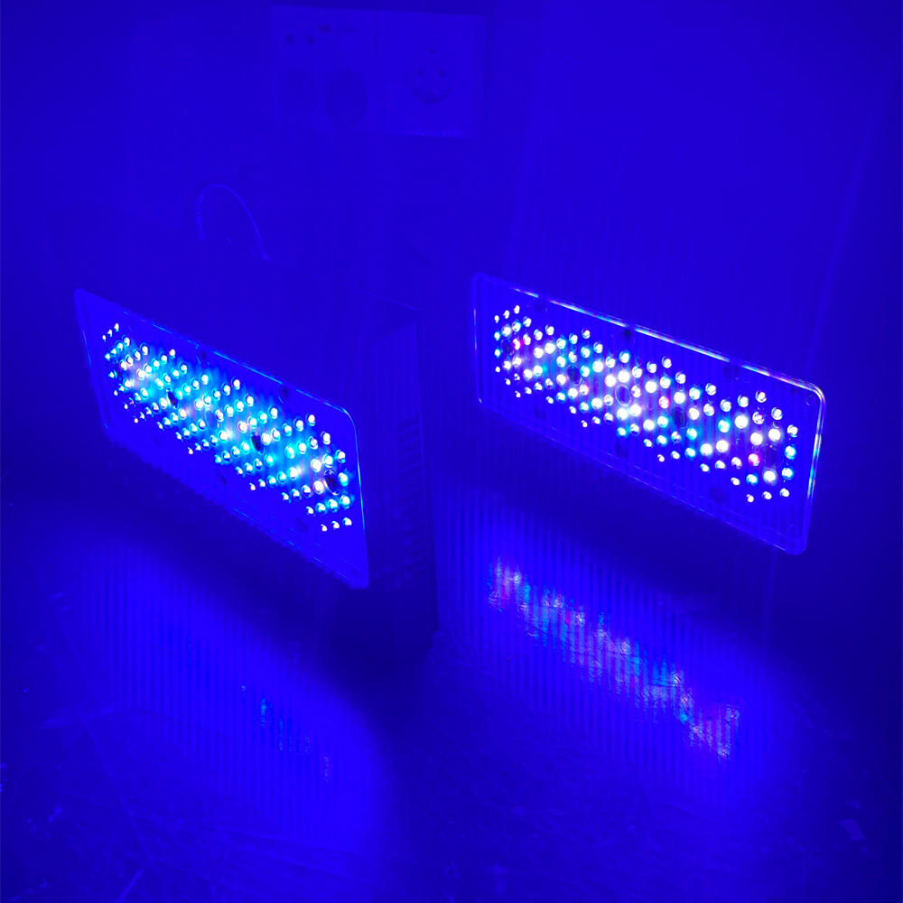Aquarium Blue Marine - 240W A8se II 맥스 블루 해양