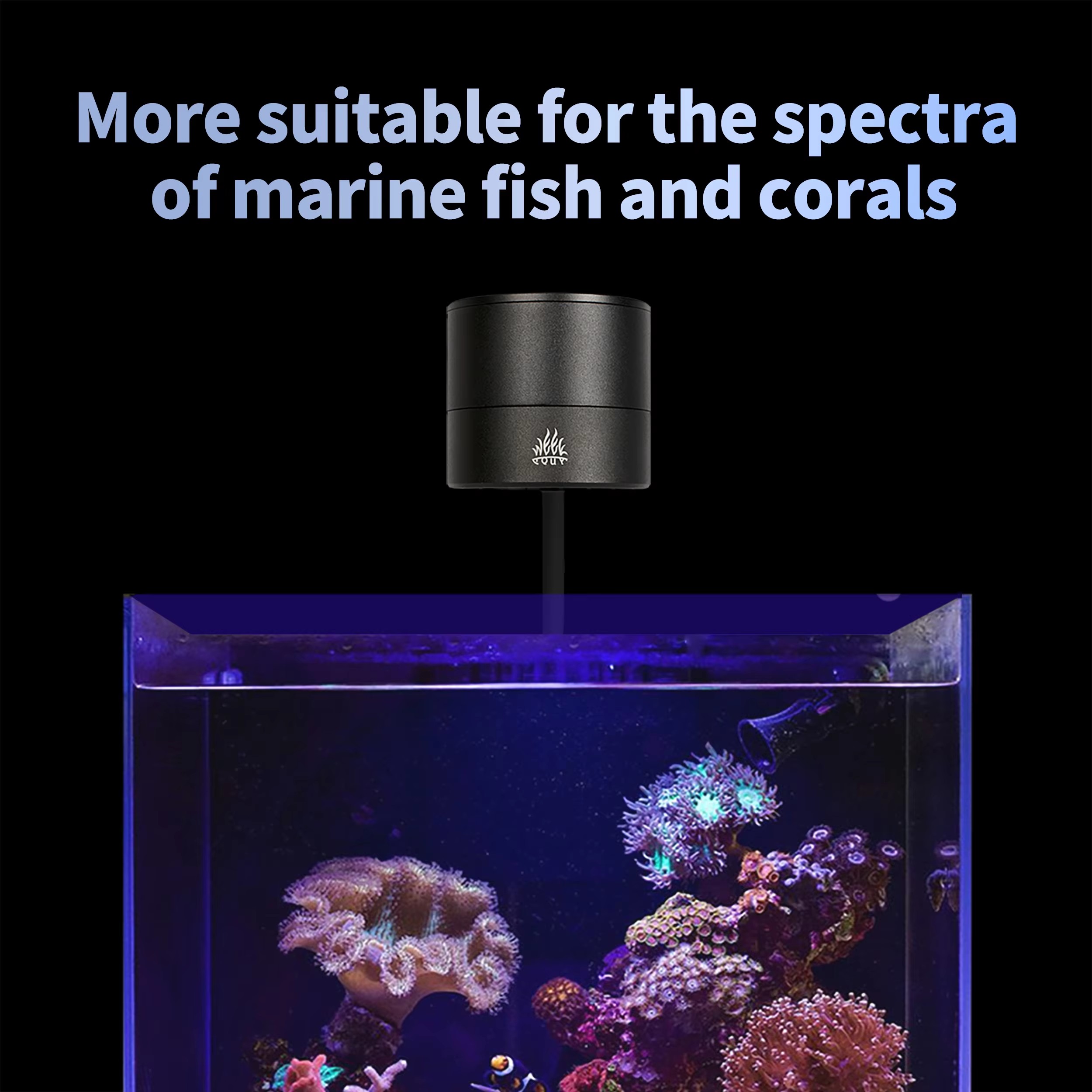 위크 아쿠아 수족관 조명 제조업체 블루 리프 라이트 L - Aquarium Blue Marine 리뷰 및 가격