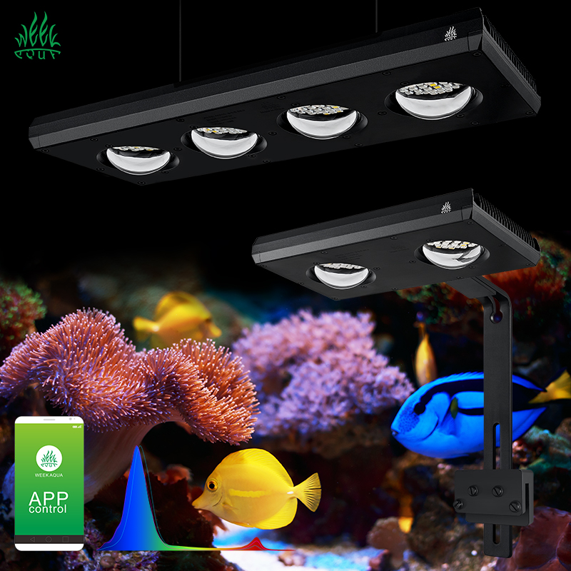 ZXY 핫 세일 WEEKAQUA Z250 Z400sea - Aquarium Blue Marine 리뷰 및 가격