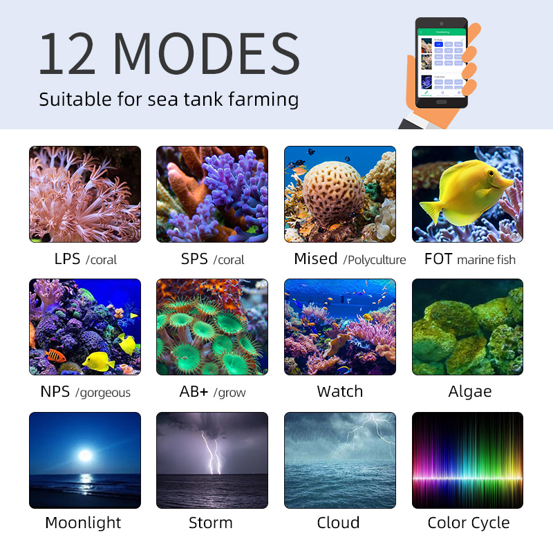 ZXY 핫 세일 WEEKAQUA Z250 Z400sea - Aquarium Blue Marine 리뷰 및 가격