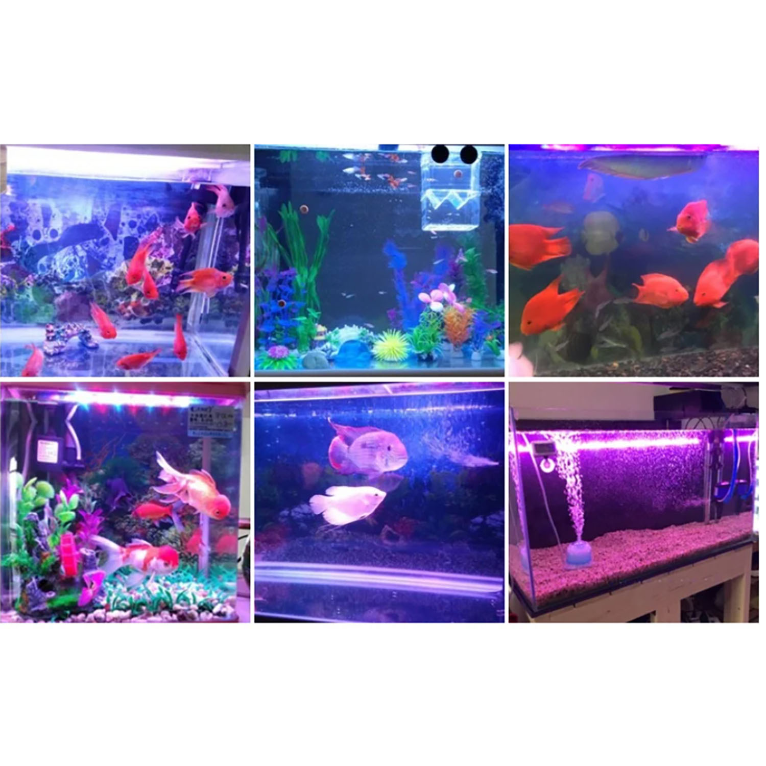 50W 60W 70W 100W RGB 26-28V 고출 - Aquarium Blue Marine 리뷰 및 가격