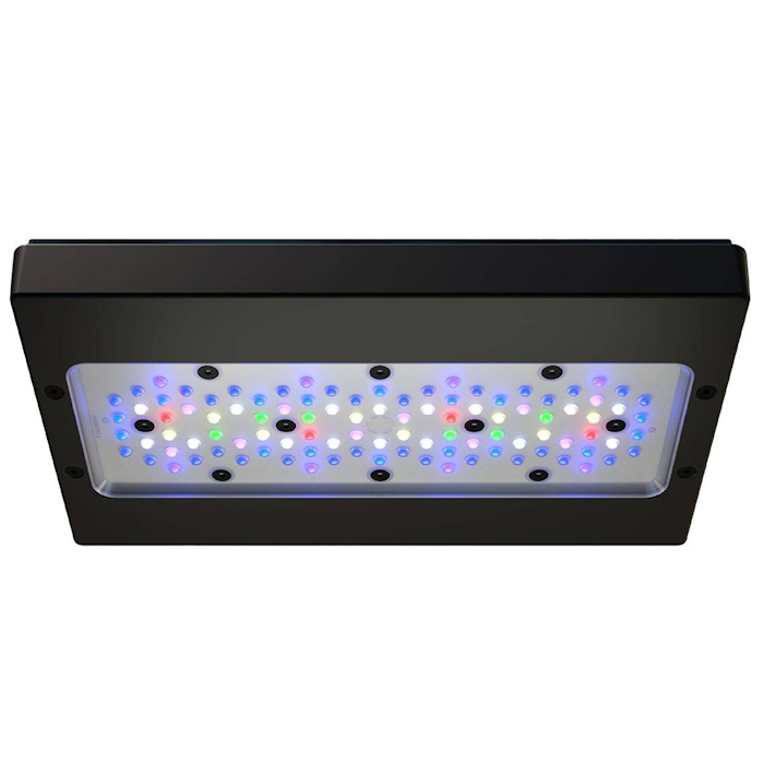 A8 PRO III Max 및 블루 245W 풀 스펙트 - Aquarium Blue Marine 리뷰 및 가격