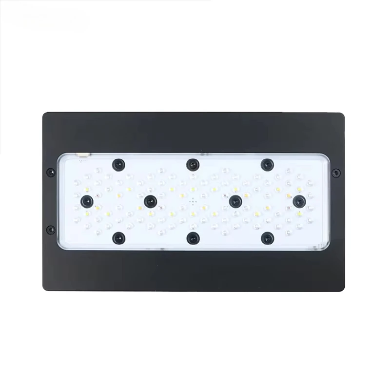 A8Pro Max/블루 240W CREE LED 리프  - Aquarium Blue Marine 리뷰 및 가격